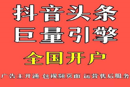大型SEM服务公司案例分析
