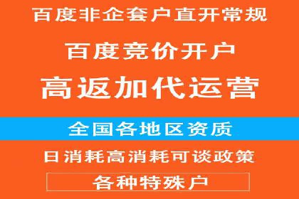 百度竞价账户托管服务深度解读及成功案例分析